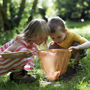 4 juegos sobre biodiversidad para implicar a los niños en su protección