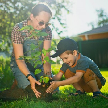 Por qué debemos plantar un árbol con los niños