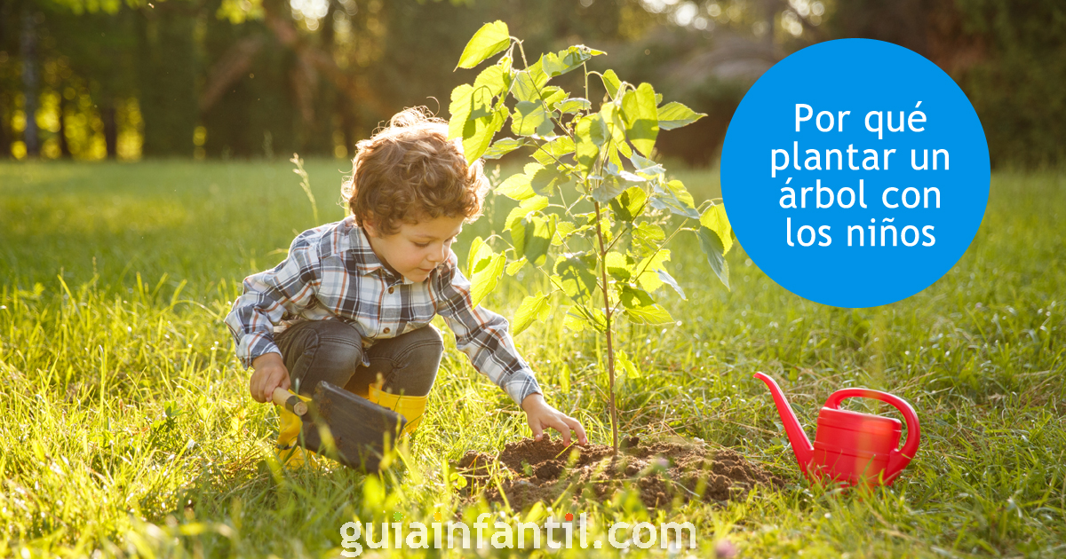 Por qué debemos plantar un árbol con los niños