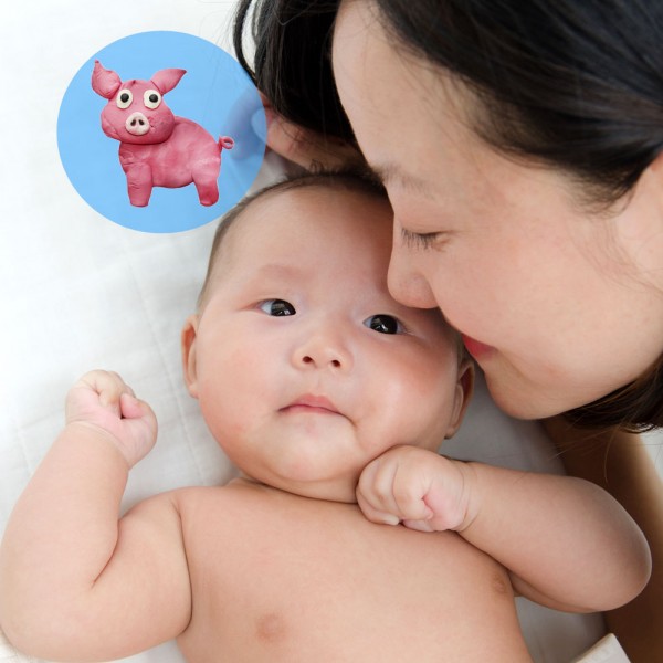 Como Hacer Un Dibujo De Un Cerdo Paso A Paso