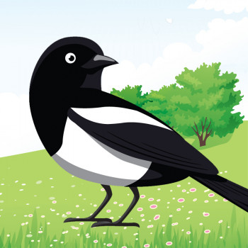 Urraca Paca. Cuento corto para niños que roban o cogen cosas de otros