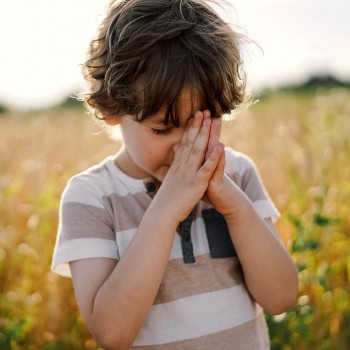 Día De Acción De Gracias. Qué Enseña A Los Niños