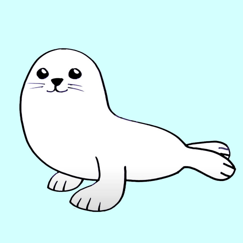 Cómo hacer, paso a paso, un dibujo de una foca