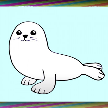 Vídeo de cómo dibujar a una foca