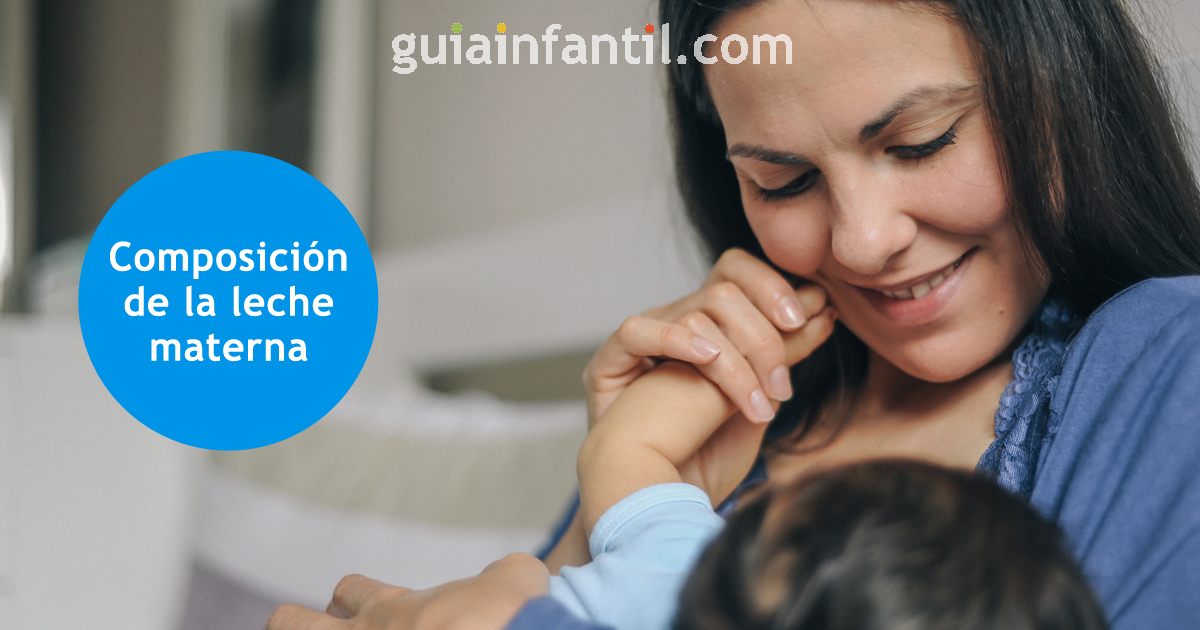composición leche materna