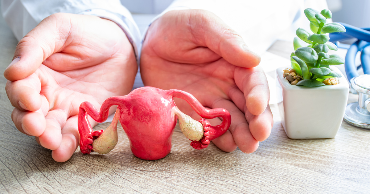 Enseñar a las niñas sus órganos