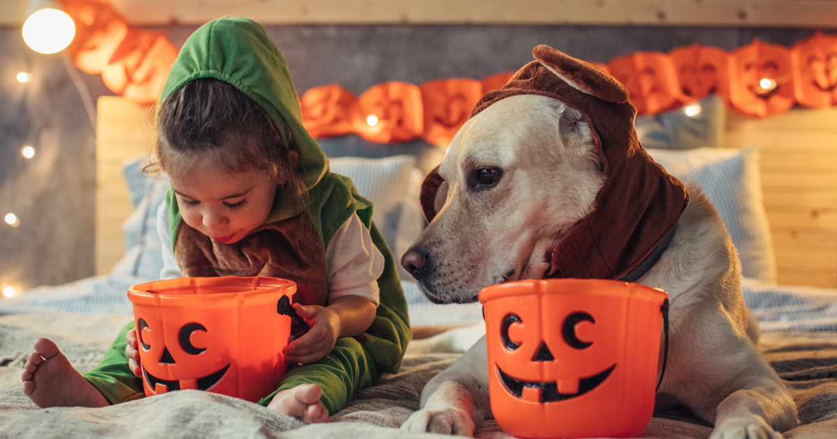 Los juegos caseros para niños en Halloween