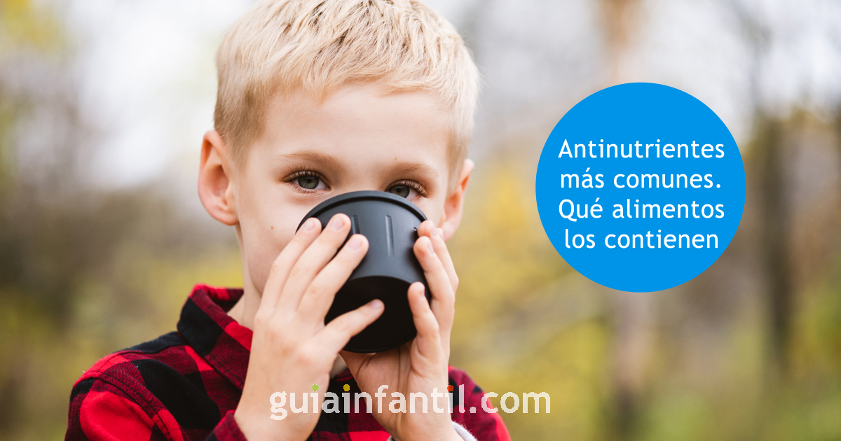 tipos de antinutrientes que hay