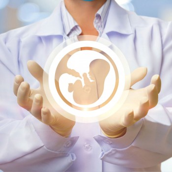 Las mejores animaciones del embarazo y parto