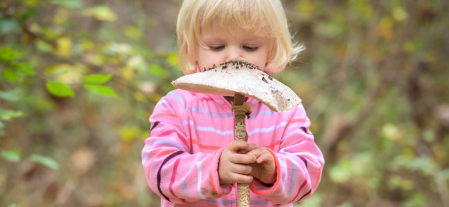 Aliemntos que no debes dar crudos nunca a tu hijo