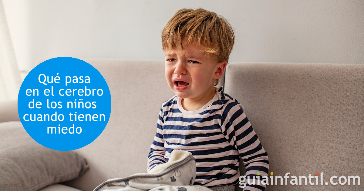 El cerebro de los niños cuando sienten miedo