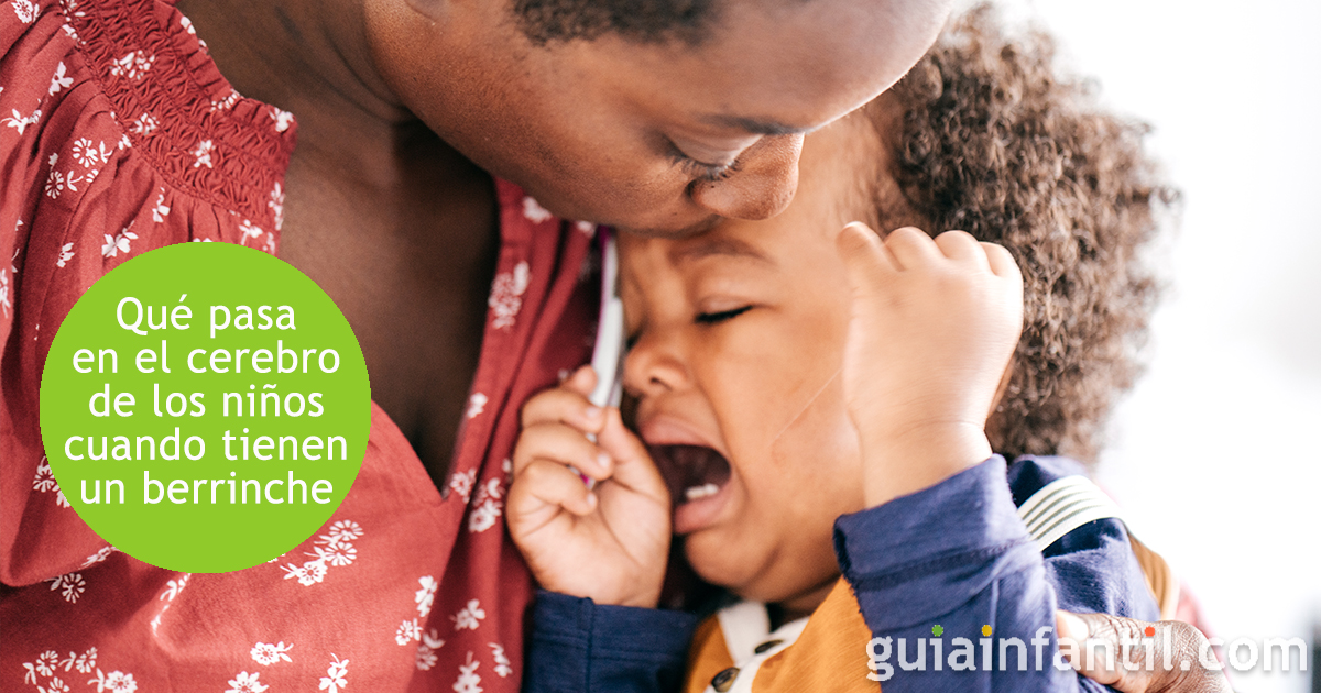 El cerebro infantil ante los berrinches
