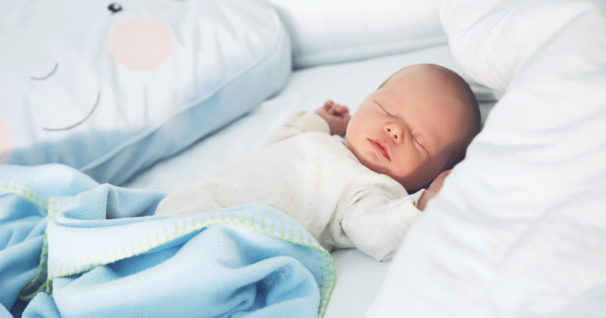 el santo de francisco de sales