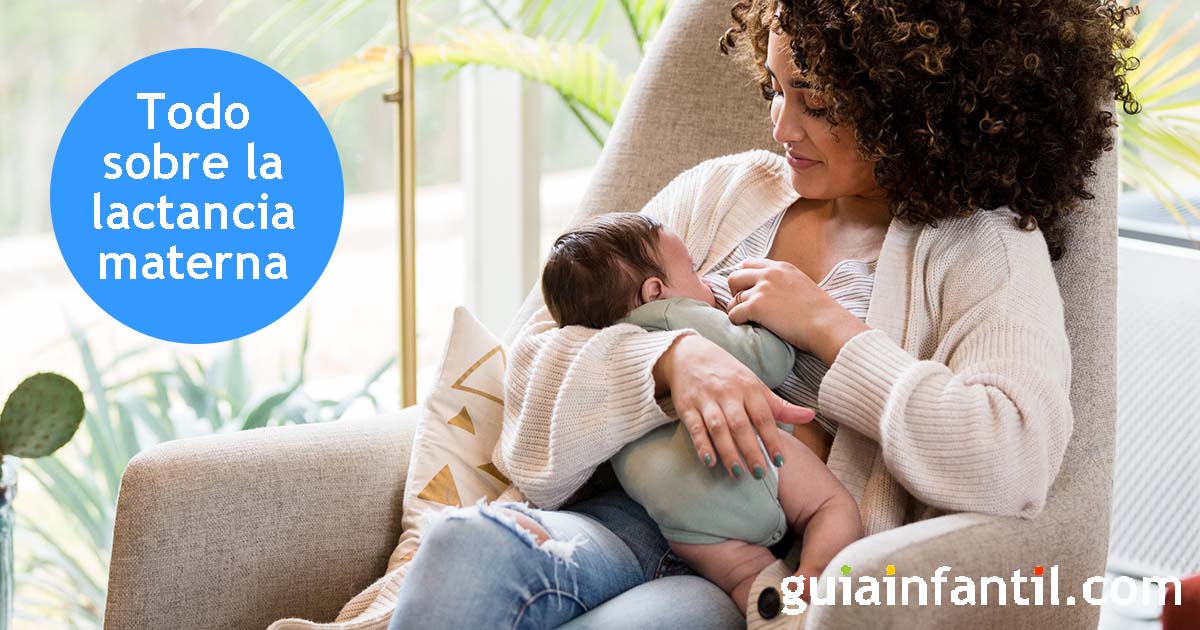 proceso de la lactancia materna