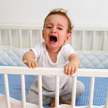 Berrinches de bebés de 1 año