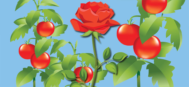 Poesía infantil para trabajar el pensamiento crítico