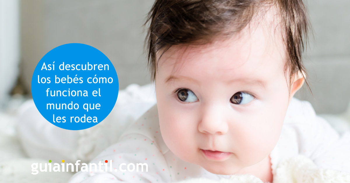 el cerebro de los bebés