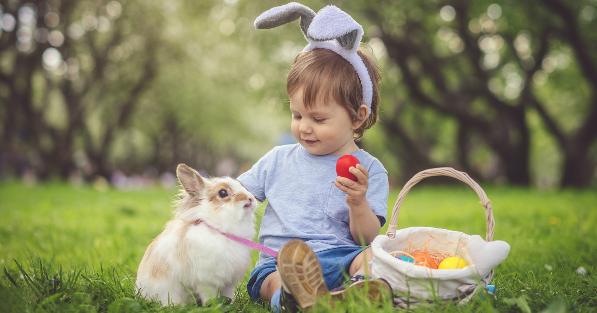 la leyenda del conejo de pascua