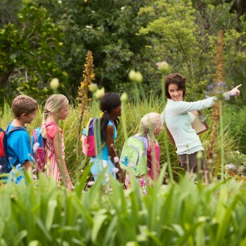 Cuando los niños dan clase en la naturaleza. Educación al aire libre