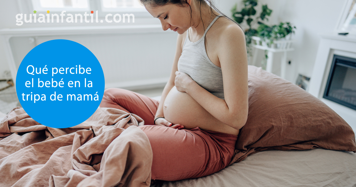 el bebé en la tripa de mamá