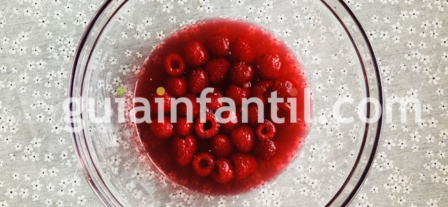 Gelatina de frutos rojos