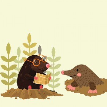 Topón y Topillo. Un cuento corto sobre los celos infantiles