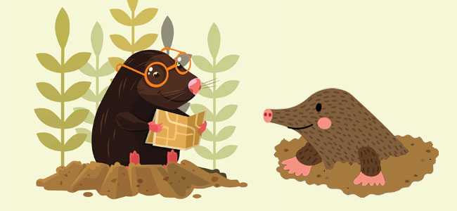 Topón yTopillo. Cuento infantil sobre los celos