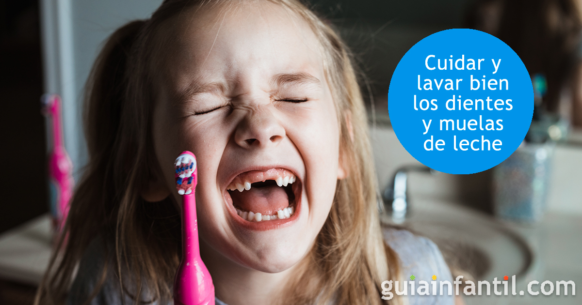 A Qué Edad Se Caen Los Dientes De Leche De Los Niños Y Cómo Cuidarlos