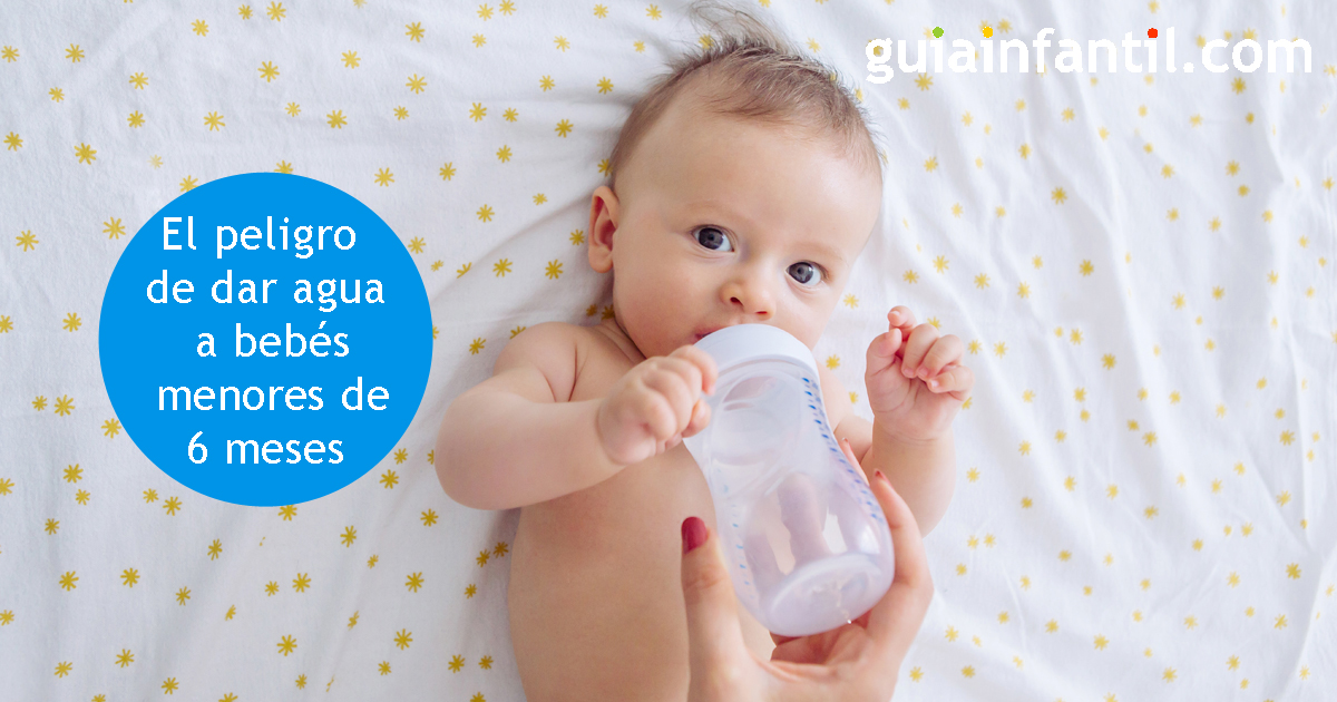 Cómo darle agua a tu bebé en la alimentación complementaria (6 meses)