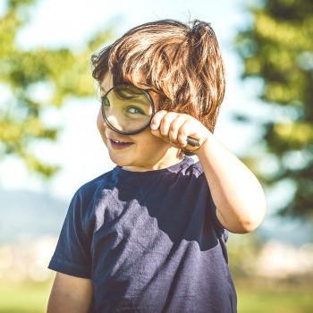 29 porqués de los niños sobre la naturaleza. Curiosidades más asombrosas