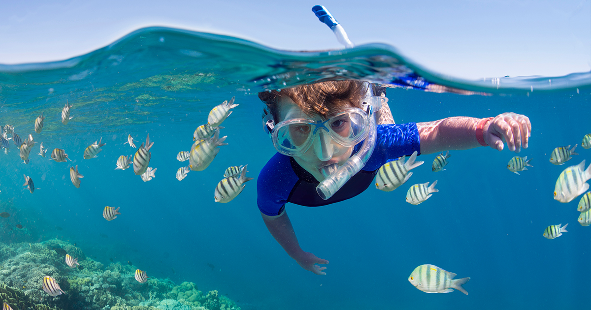 Curiosidades para niños de los océanos
