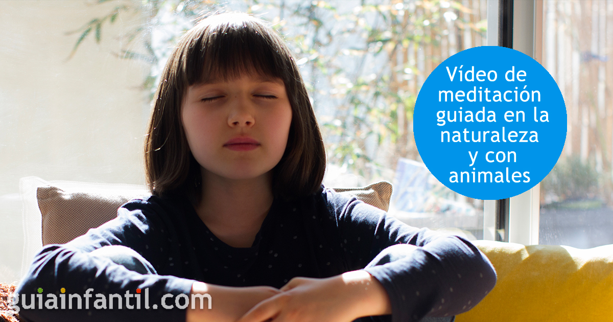 Vídeo de meditación guiada con animales para niños