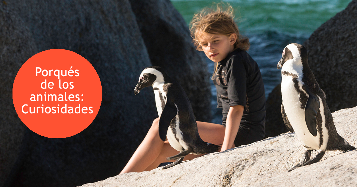 Unas preguntas de los niños sobre los animales
