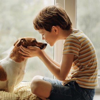 42 refranes cortos de animales que todos los niños deben conocer
