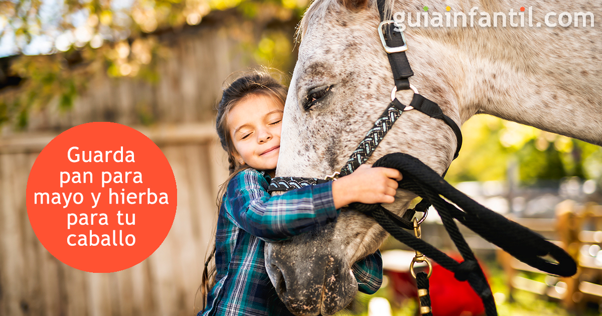 Los proverbios para niños de los animales