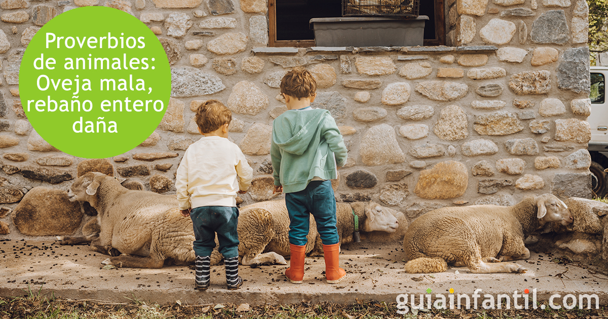 Más refranes cortos para niños de los animales