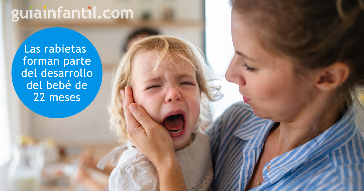rabietas bebés de 22 meses