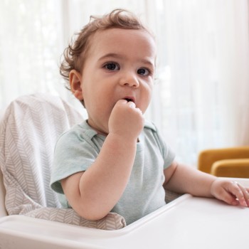 Enseñar Baby Sign retrasa el lenguaje de los niños, ¿verdadero o falso?