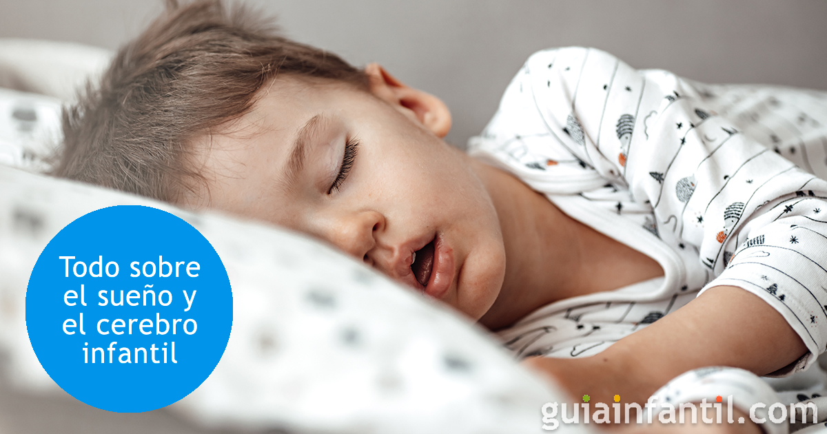 El cerebro de los niños y las siestas