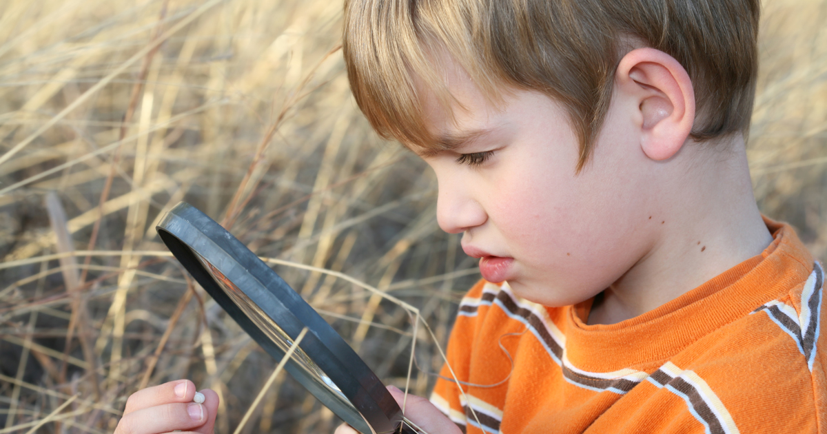actividades de medio ambiente montessori