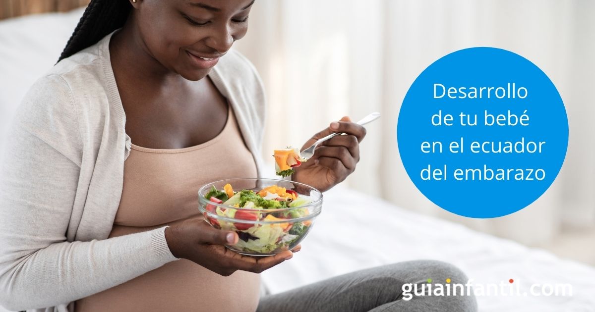 desarrollo del embarazo