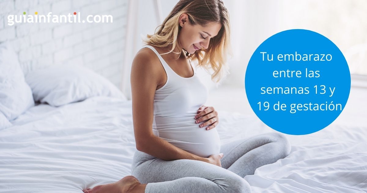 semana 13 y 19 de gestación