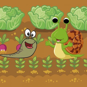 Cuentos para niños. Pedrito, el caracol y la babosa