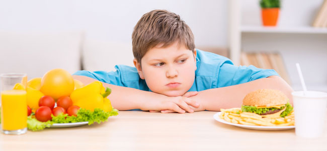 La obesidad en la infancia La obesidad en la infancia