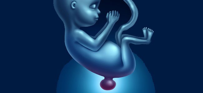 Qué es la espina bífida en bebés