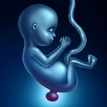 Espina Bífida. Qué es y prevención