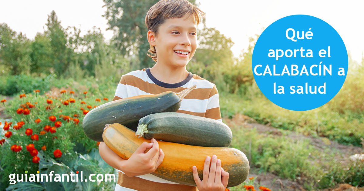 beneficios del calabacín a la salud