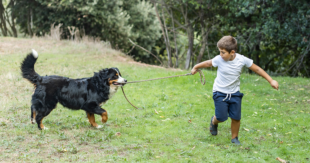 La independencia de los niños en casa