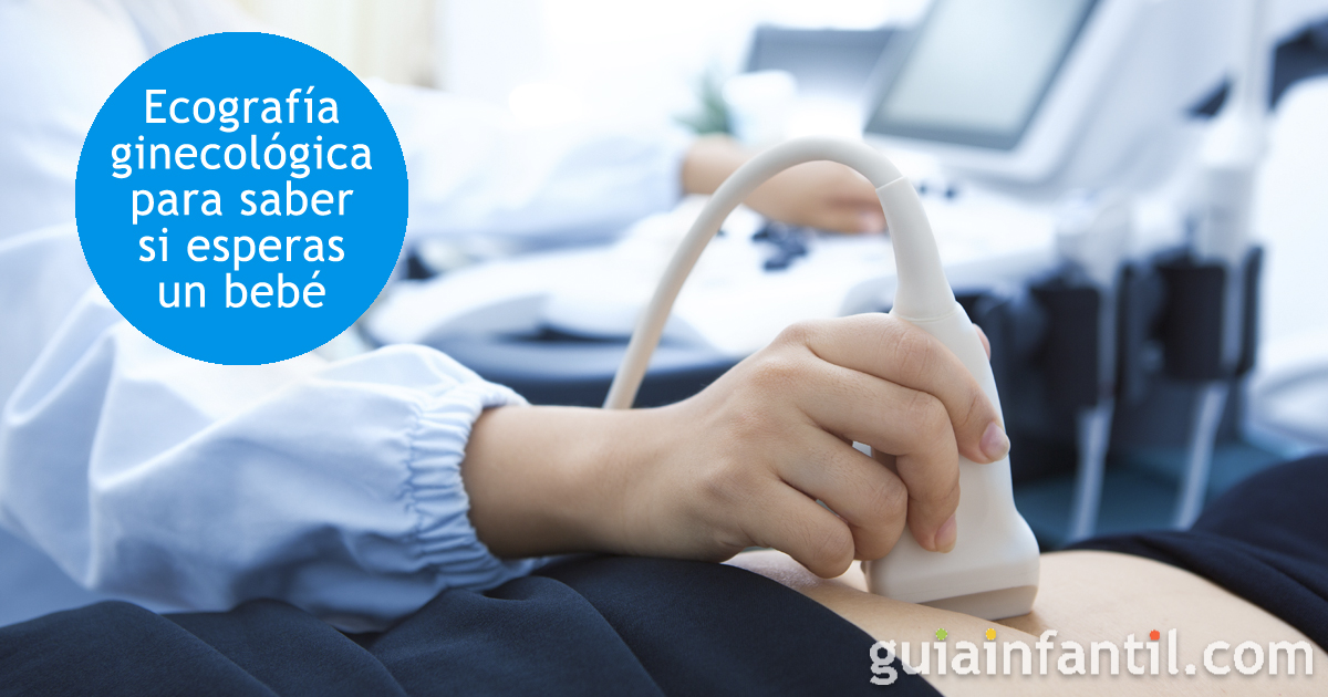 Ecografía ginecológica para saber si estoy embarazada