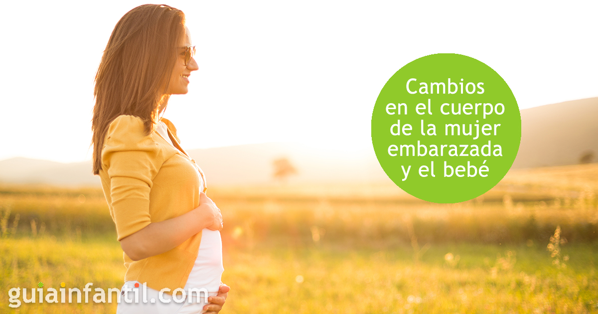 Cuáles son los cambios para la embarazada en el mes 3